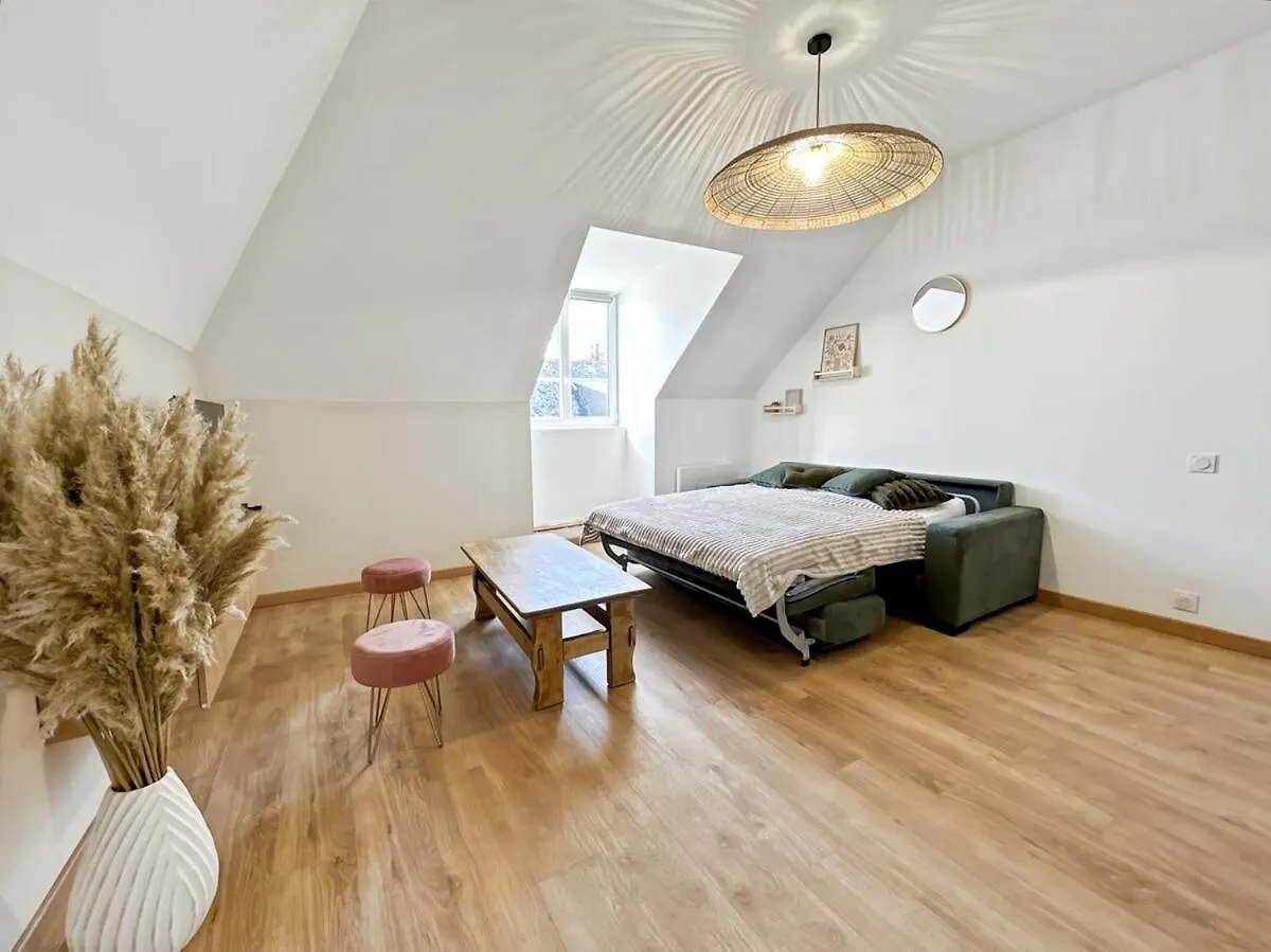 דירה Appartement Centre Ville קונקרנו